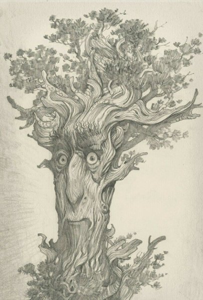 Волшебное дерево Графика