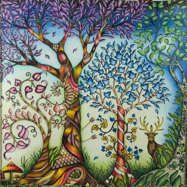 Эскиз образов деревьев