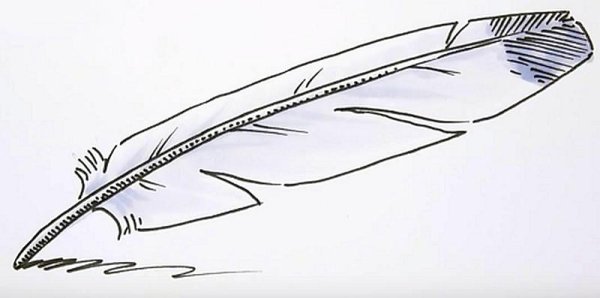 Гусиное перо рисунок