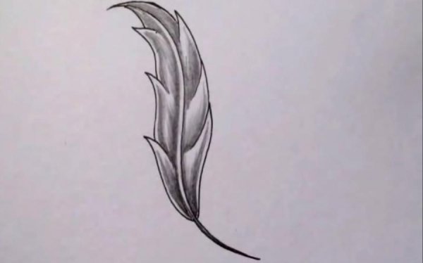 Как нарисовать красиво перо рисуем карандашом фото