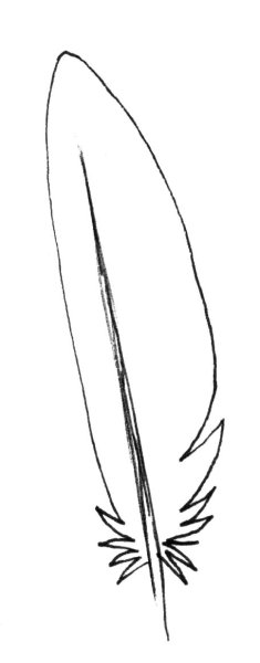 Поэтапное рисование пера