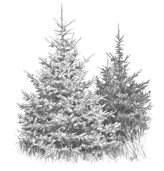 Елка раскраска