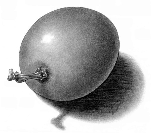 Штриховка шара карандашом