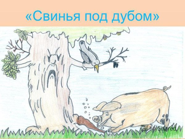 Рисунок к басне Крылова свинья под дубом