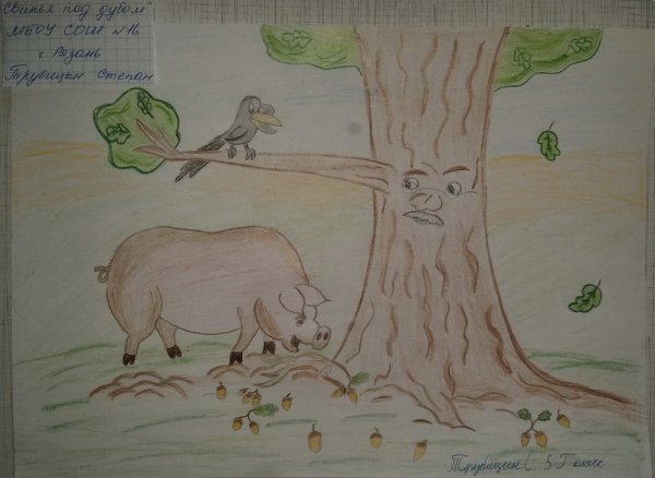 Рисунок к басне Крылова свинья под дубом