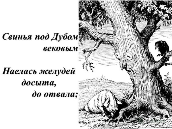 Басни Ивана Крылова свинья под дубом