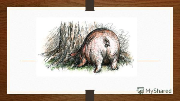 Рисунок свинья под дубом 5 класс