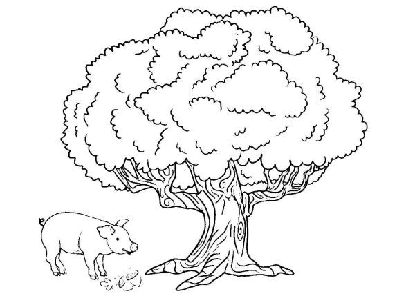 Иллюстрация к басне Крылова свинья под дубом раскраска