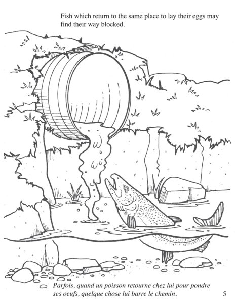 Рисунок на тему проблемы экологии