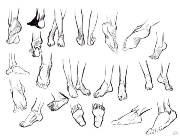 Ноги сзади референс