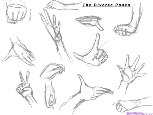 Туториал руки от плеча