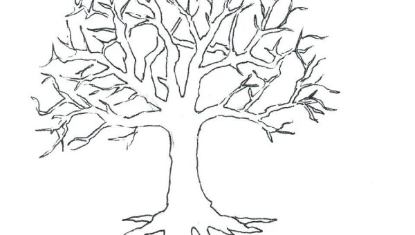 Раскраска дерево без листьев