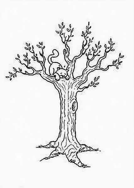 Ствол дерева раскраска для детей