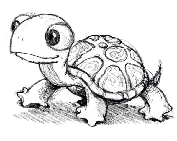 Черепаха карандашом