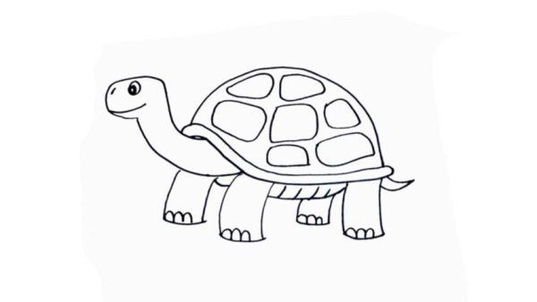 Черепаха карандашом для детей