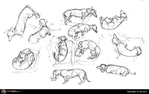 Такса референс