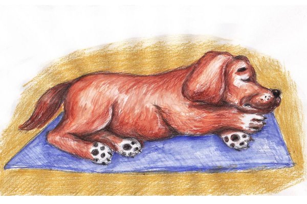 Собака лежит рисунок