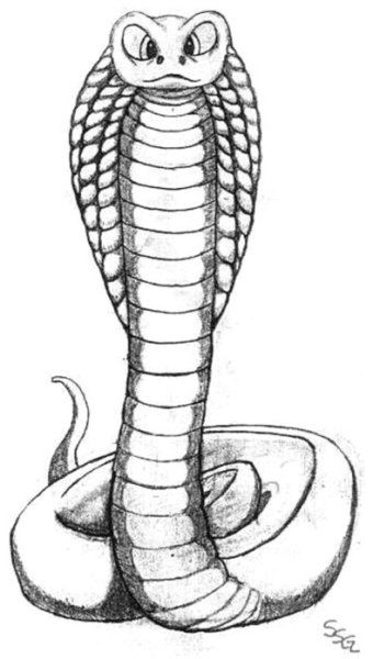 Рисунки для срисовки змея