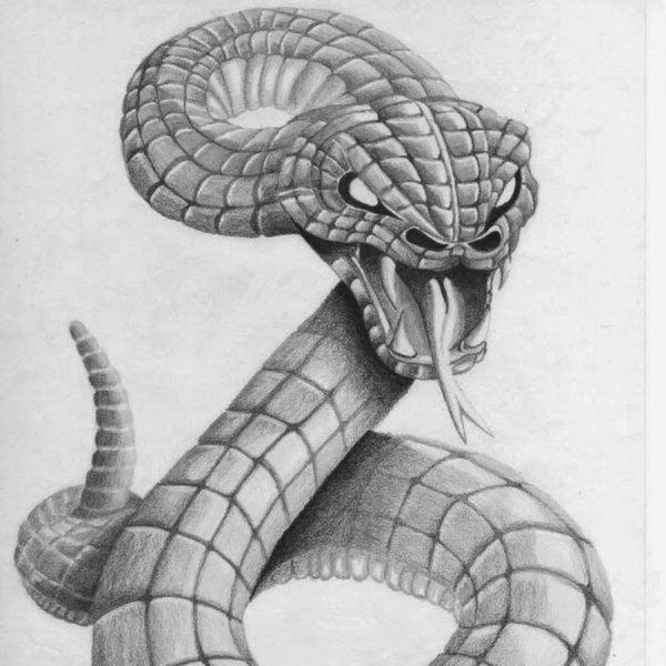 Королевская Кобра рисунок