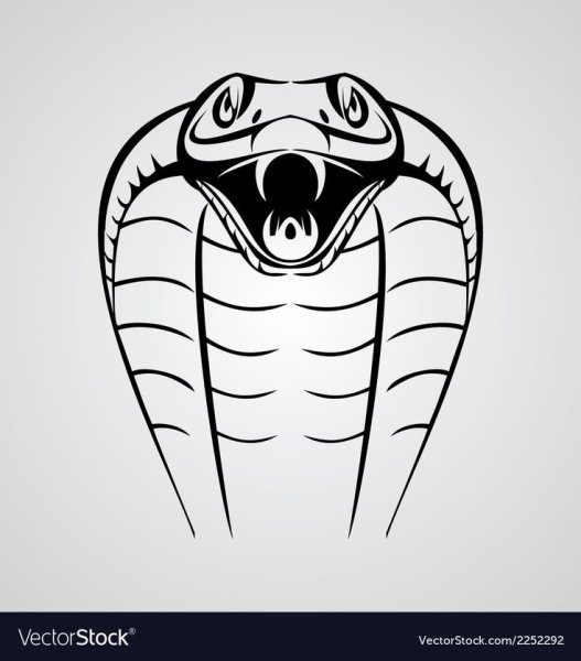 Рисунки змей