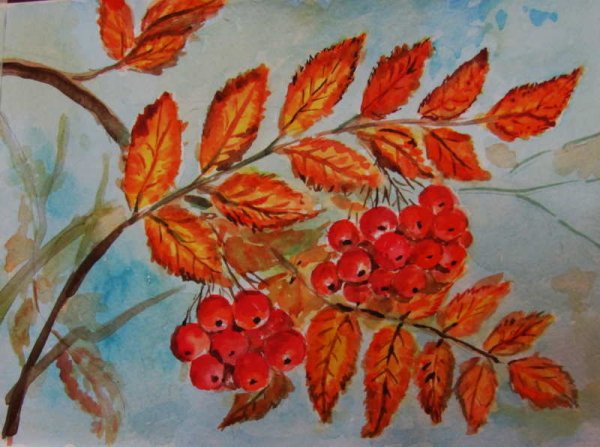 Тема: "ветка рябины".(т.с.Комарова, с.42)