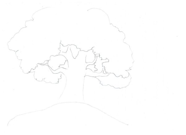 Дерево для дорисовки