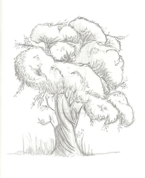 Дерево Графика