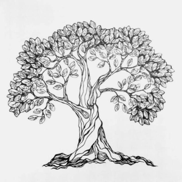 Дерево для срисовки