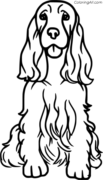 Раскраска кокер спаниель английский и щенок