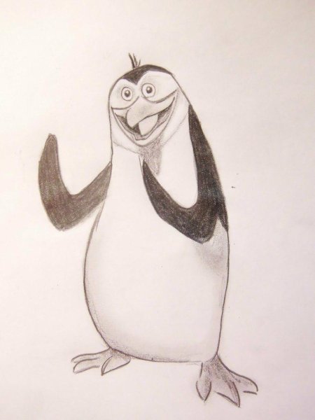 Пингвинчик рисунок карандашом