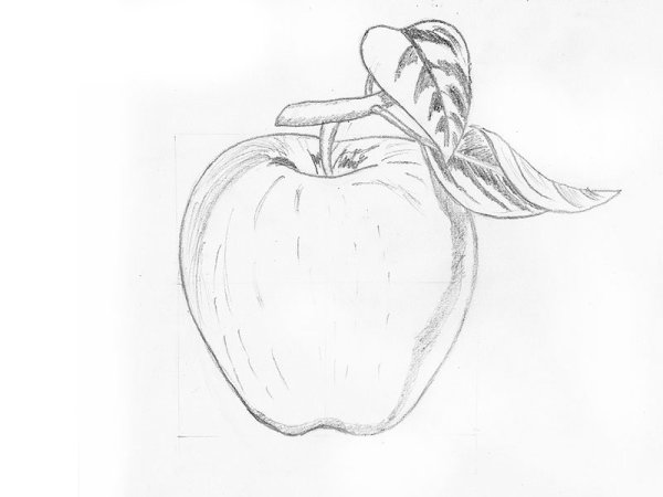 Рисунки фруктов для срисовки карандашом