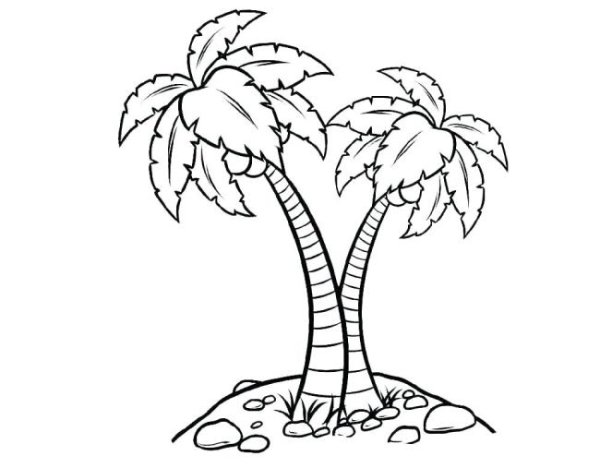 Пальма раскраска