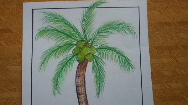 Схема рисования пальмы