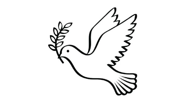 Голубь контур