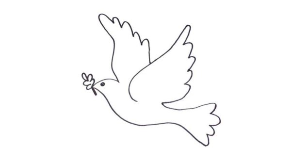 Голубь карандашом
