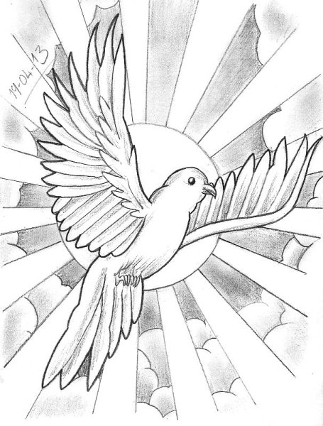 Голубь набросок