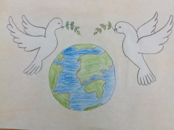 Голубь раскраска