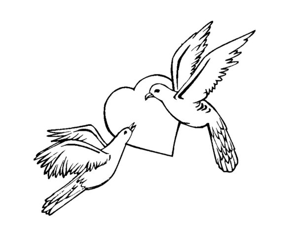 Голубь мира