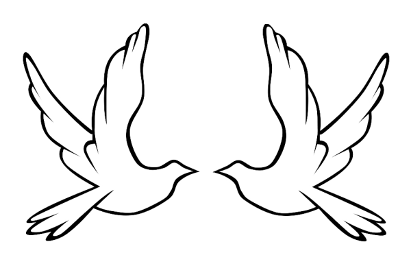 Голубь раскраска для детей