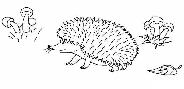 Igel рисунок