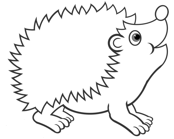 Ушастый ёж раскраска