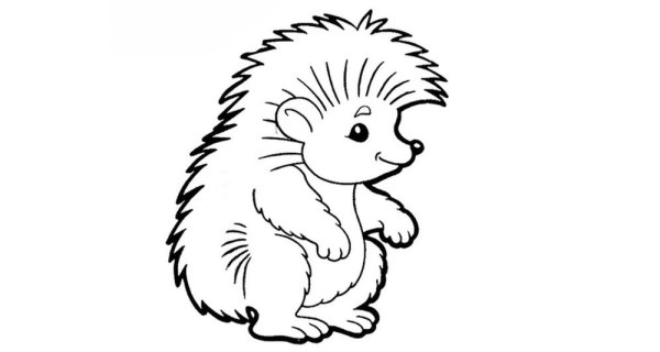 Ёжик пошагово рисунок