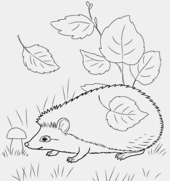 Ежик контур для поделки