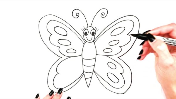 Бабочка для рисования детям