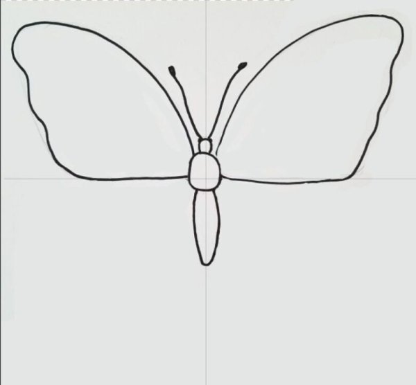 Простые схемы рисования бабочки