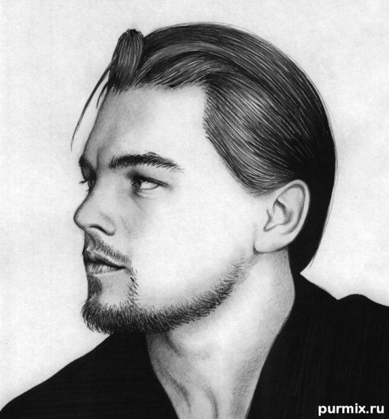 Leonardo DICAPRIO Pencil portrait