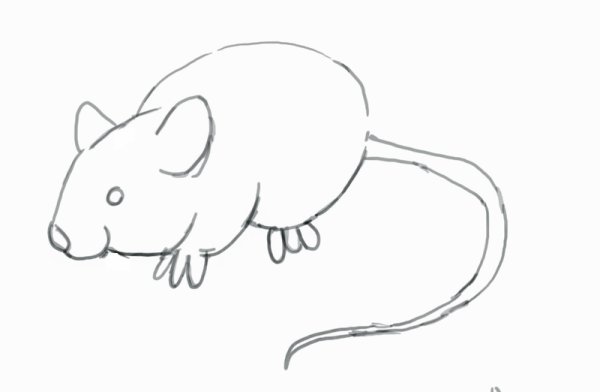 Мышка скетч