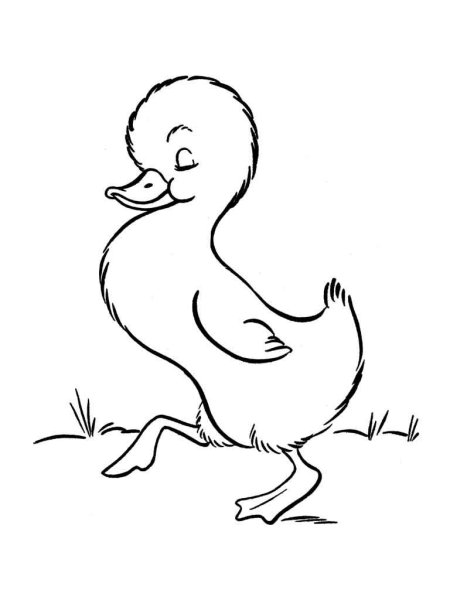 Рисование утки