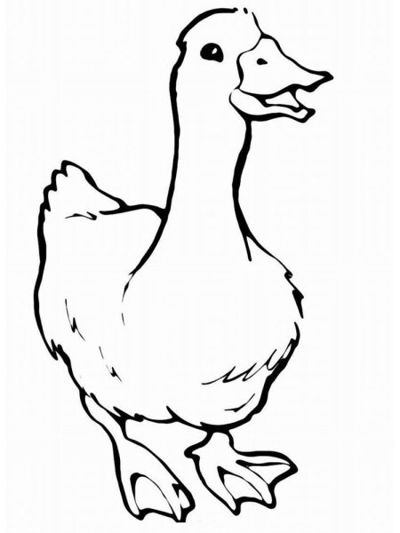 Пришвин ребята и утята раскраска к рассказу