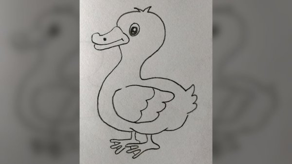 Раскраска уточка